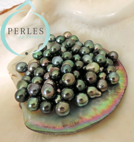 Lot de perles de culture de Tahiti reçu par Ô Perles du Paradis