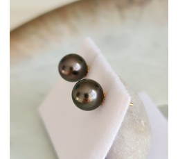 La Vie en Or - Boucles d'Oreilles en Or Jaune et Véritables Perles de Tahiti