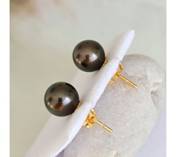 La Vie en Or - Boucles d'Oreilles en Or Jaune et Véritables Perles de Tahiti