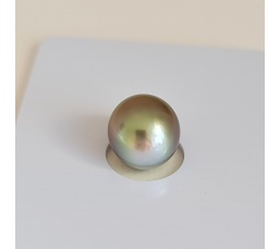 P14N14 - Véritable Perle de Culture de Tahiti d'Exception