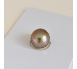 P14N14 - Véritable Perle de Culture de Tahiti d'Exception