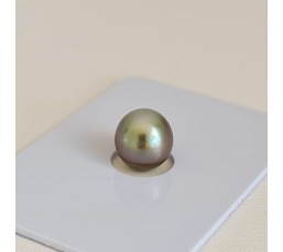 P14N14 - Véritable Perle de Culture de Tahiti d'Exception
