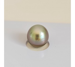 P14N14 - Véritable Perle de Culture de Tahiti d'Exception