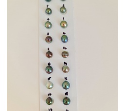 P14N14 - Véritable Perle de Culture de Tahiti d'Exception