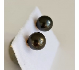 La Vie en Or - Boucles d'Oreilles en Or Jaune et Véritables Perles de Tahiti