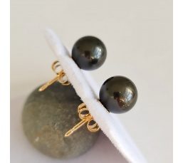 La Vie en Or - Boucles d'Oreilles en Or Jaune et Véritables Perles de Tahiti