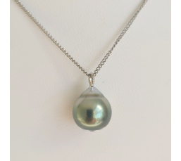 Tahiti - Collier Argent rhodié et Perle de Tahiti d'exception