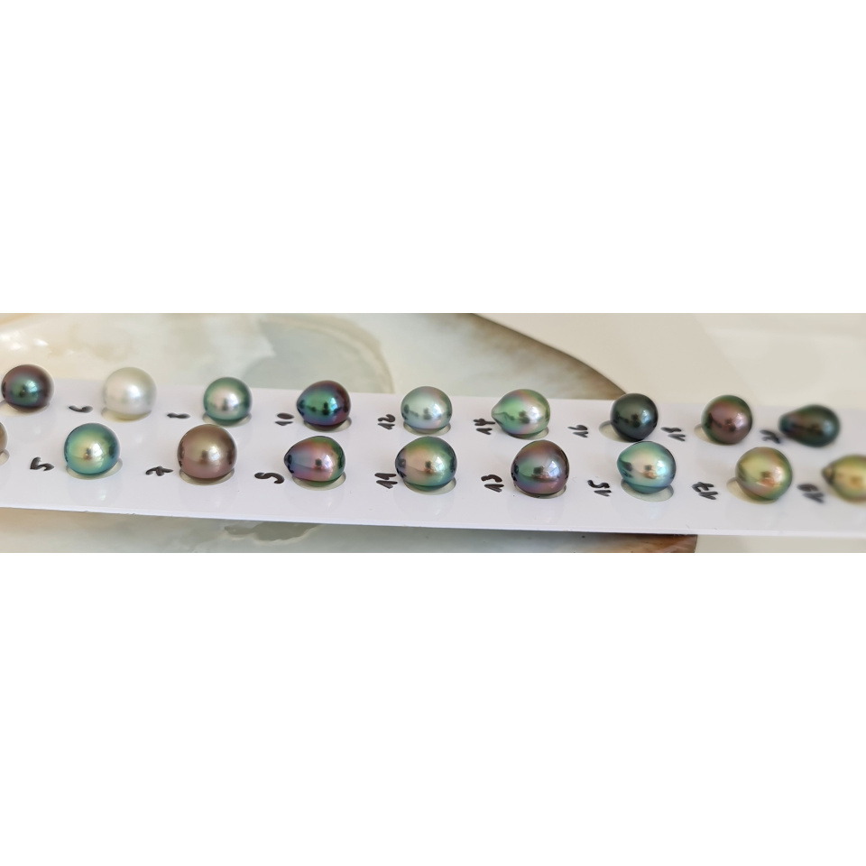 P6N12 - Véritable Perle de Culture de Tahiti