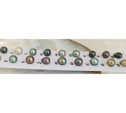 P6N12 - Véritable Perle de Culture de Tahiti