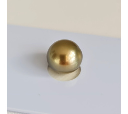 P15N8 - Véritable Perle de Culture de Tahiti d'Exception