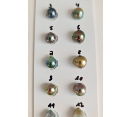 P15N8 - Véritable Perle de Culture de Tahiti d'Exception