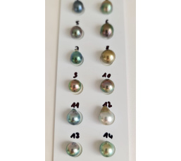 P15N11 - Véritable Perle de Culture de Tahiti d'Exception