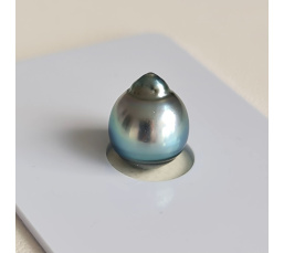 P15N11 - Véritable Perle de Culture de Tahiti d'Exception