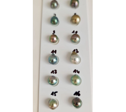 P15N11 - Véritable Perle de Culture de Tahiti d'Exception