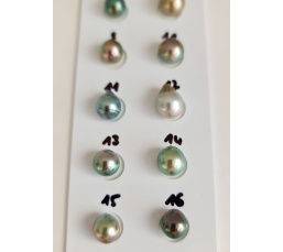 P15N14 - Véritable Perle de Culture de Tahiti d'Exception