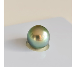 P15N14 - Véritable Perle de Culture de Tahiti d'Exception