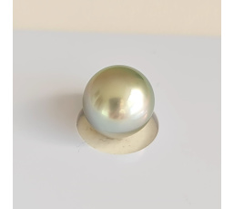 P15N19 - Véritable Perle de Culture de Tahiti d'Exception