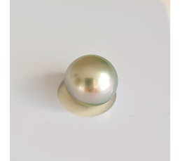 P15N19 - Véritable Perle de Culture de Tahiti d'Exception