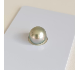 P15N19 - Véritable Perle de Culture de Tahiti d'Exception