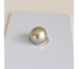 P15N19 - Véritable Perle de Culture de Tahiti d'Exception