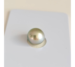 P15N19 - Véritable Perle de Culture de Tahiti d'Exception