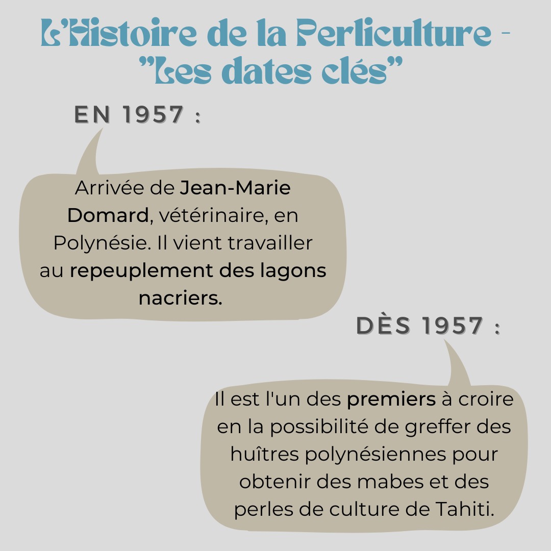 REPEUPLEMENT DES LAGONS ET PREMIERS ESSAIS GREFFE PERLICULTURE